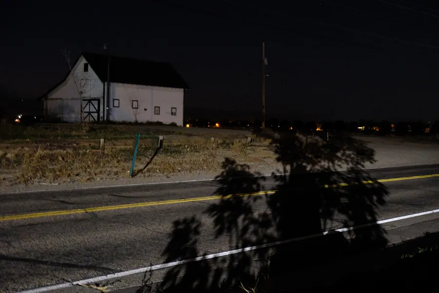 shadow of tree on road at night